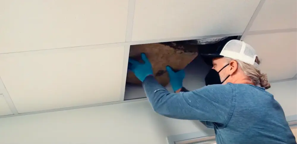 Installing 3" Rockwool Safe 'n' Sound Installing 3" Rockwool Safe 'n' Sound